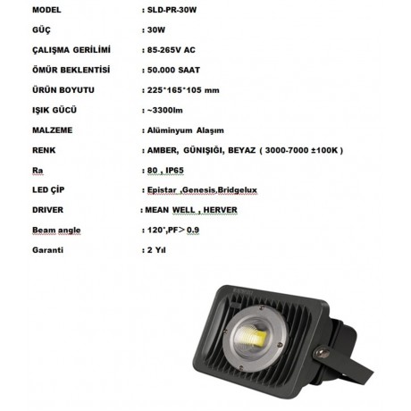 30 WATT 220 VOLT LED PROJEKTÖR