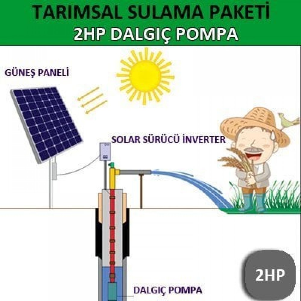 3 HP 3X220V Dalgıç Pompa Tarımsal Sulama Sistemi Lexron
